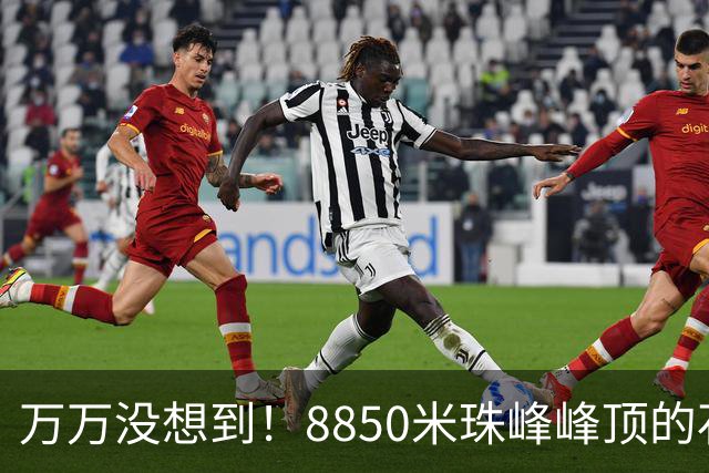 万万没想到！8850米珠峰峰顶的石头，竟来自4亿年前的海底！